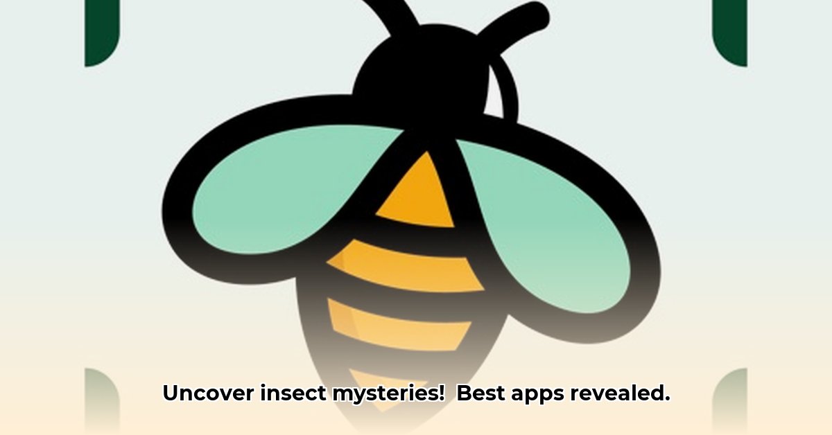 picture-insect-bug-identifier-app